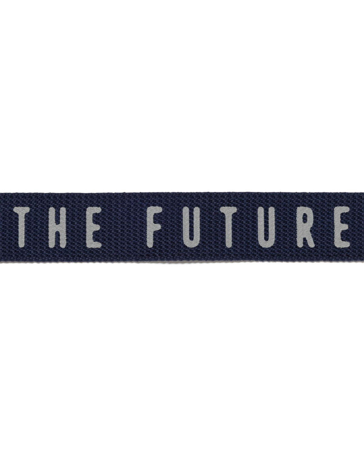 WEB BELT